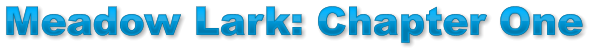 Meadow Lark: Chapter One Meadow Lark: Chapter One Meadow Lark: Chapter One