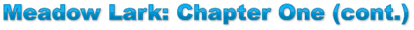 Meadow Lark: Chapter One (cont.) Meadow Lark: Chapter One (cont.) Meadow Lark: Chapter One (cont.)